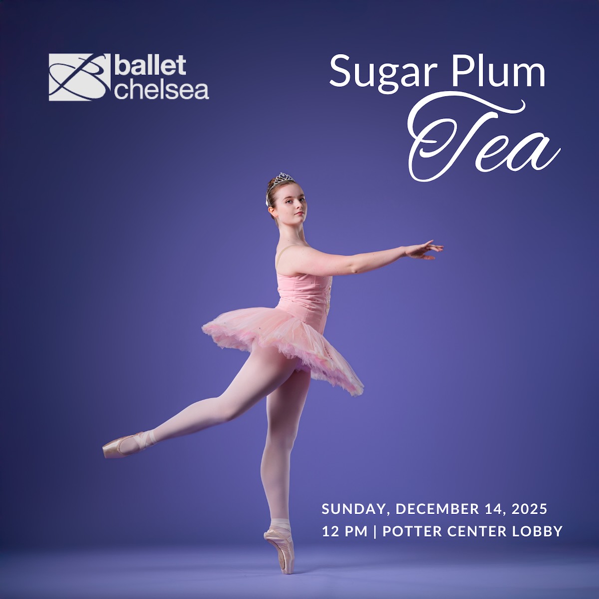 Sugar Plum Tea 2024 - 6